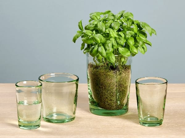 Стакан для воды LAMBERT Эмма ARCH-00021832