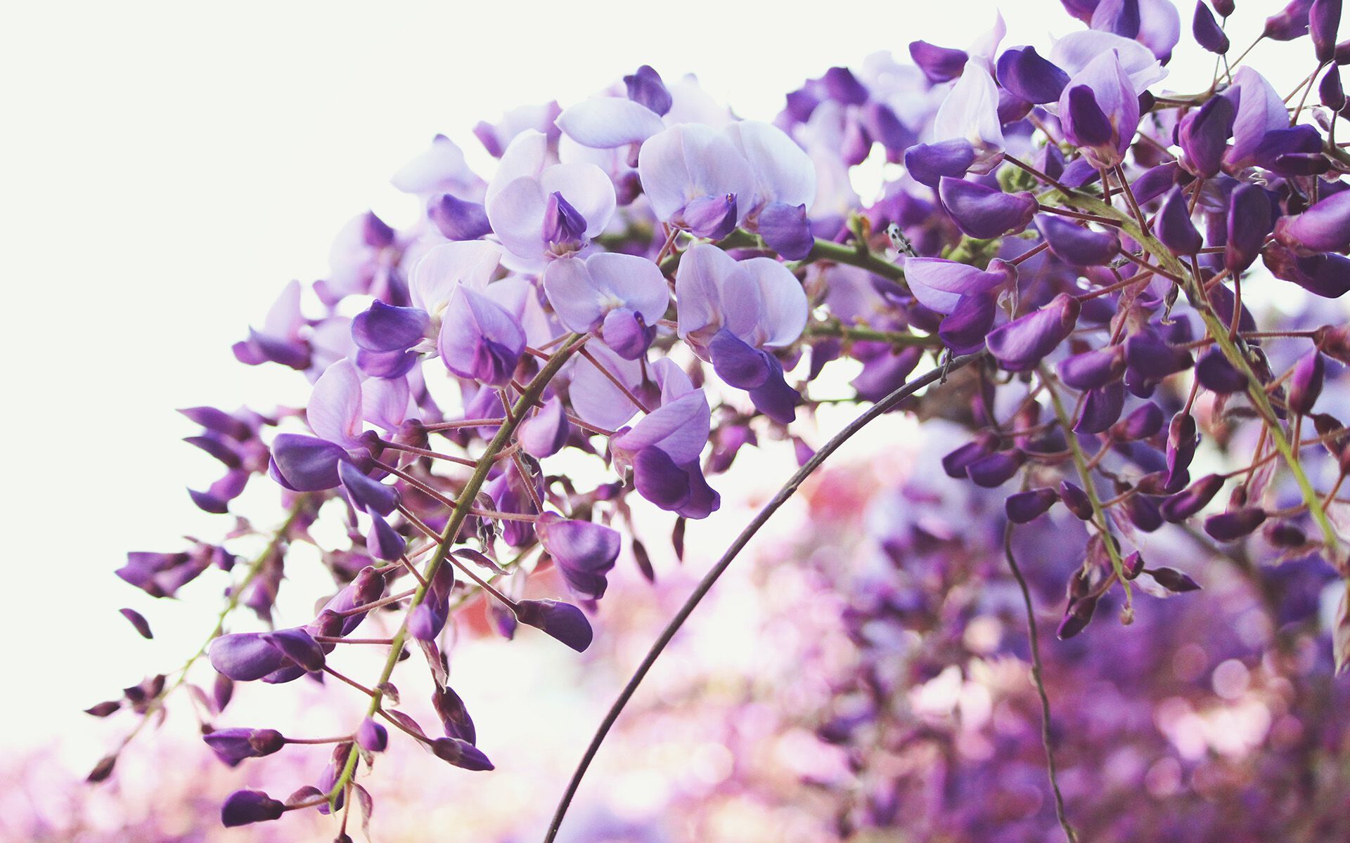 Набор для спа-ароматерапии Aquademy AROMATERAPIA IN ACQUA ARCH-00083585 - Вид №9