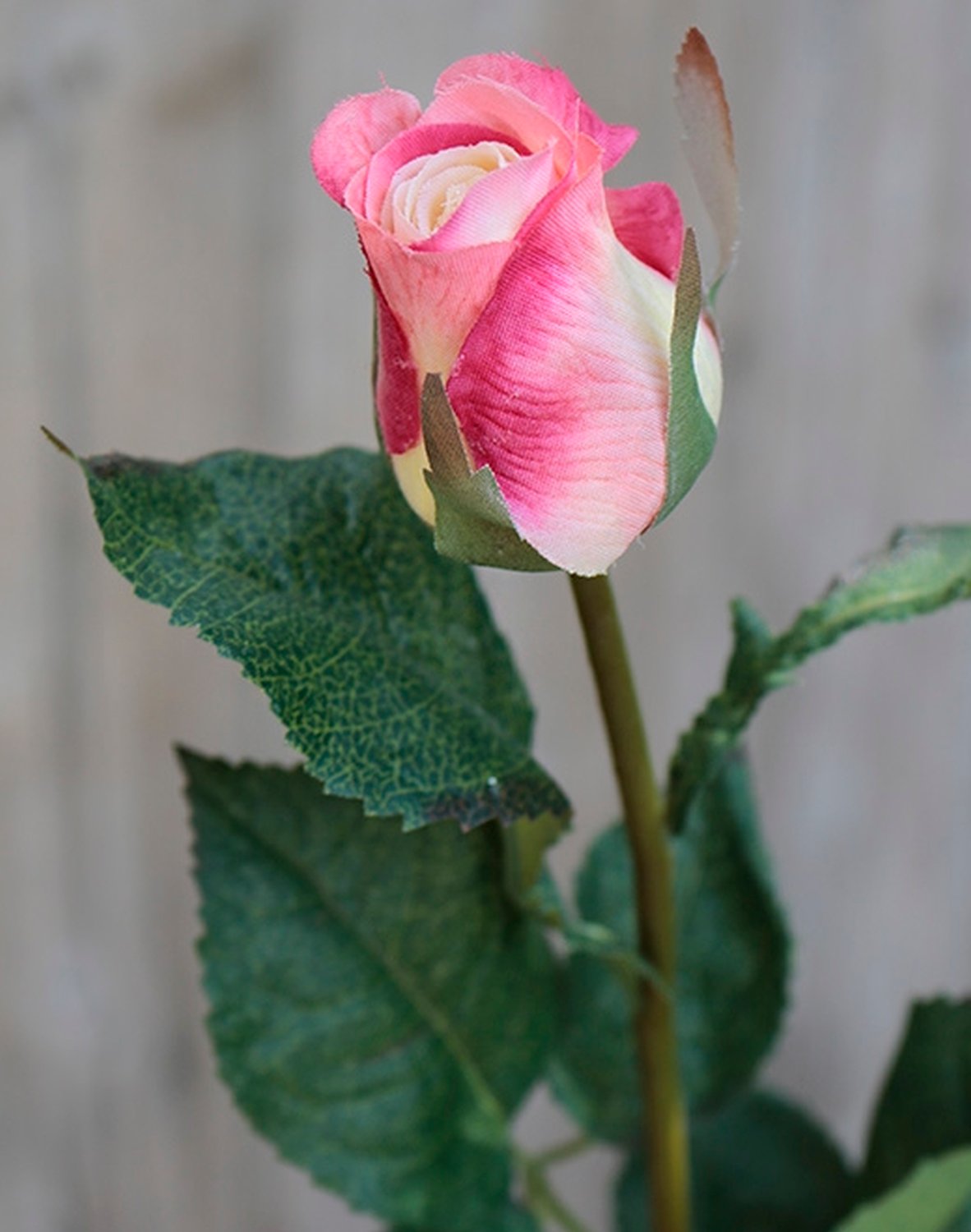 3248 755 a2 Искусственные бутоны роз, 75 см, бежево-розовые H-andreas  - Вид №3