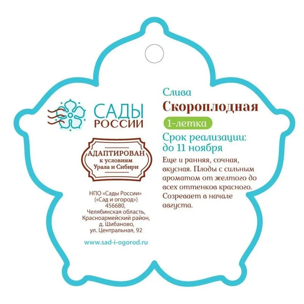 Слива «Скороплодная» 1 год 12.5x30-50 см 82610451 STLM-2187807 Santreyd  - Вид №1