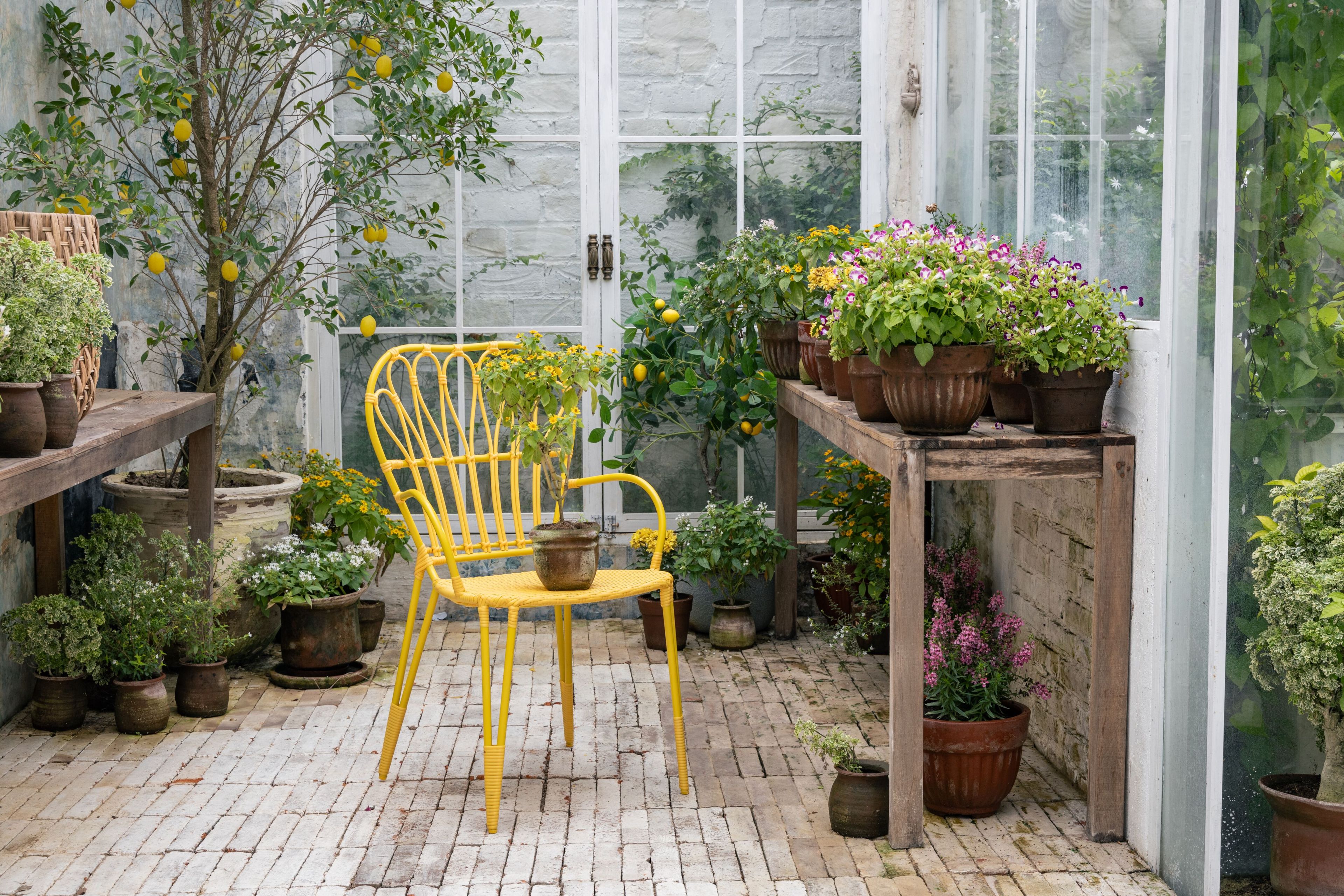 Синтетическое волокно и алюминиевый садовый стул с подлокотниками cbdesign Fiorella ARCH-00081323 - Вид №7