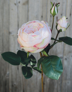2592 598 a3 Искусственная роза, 1 цветок, 2 бутона, 60 см, real touch soft, антично-светло-розовый H-andreas