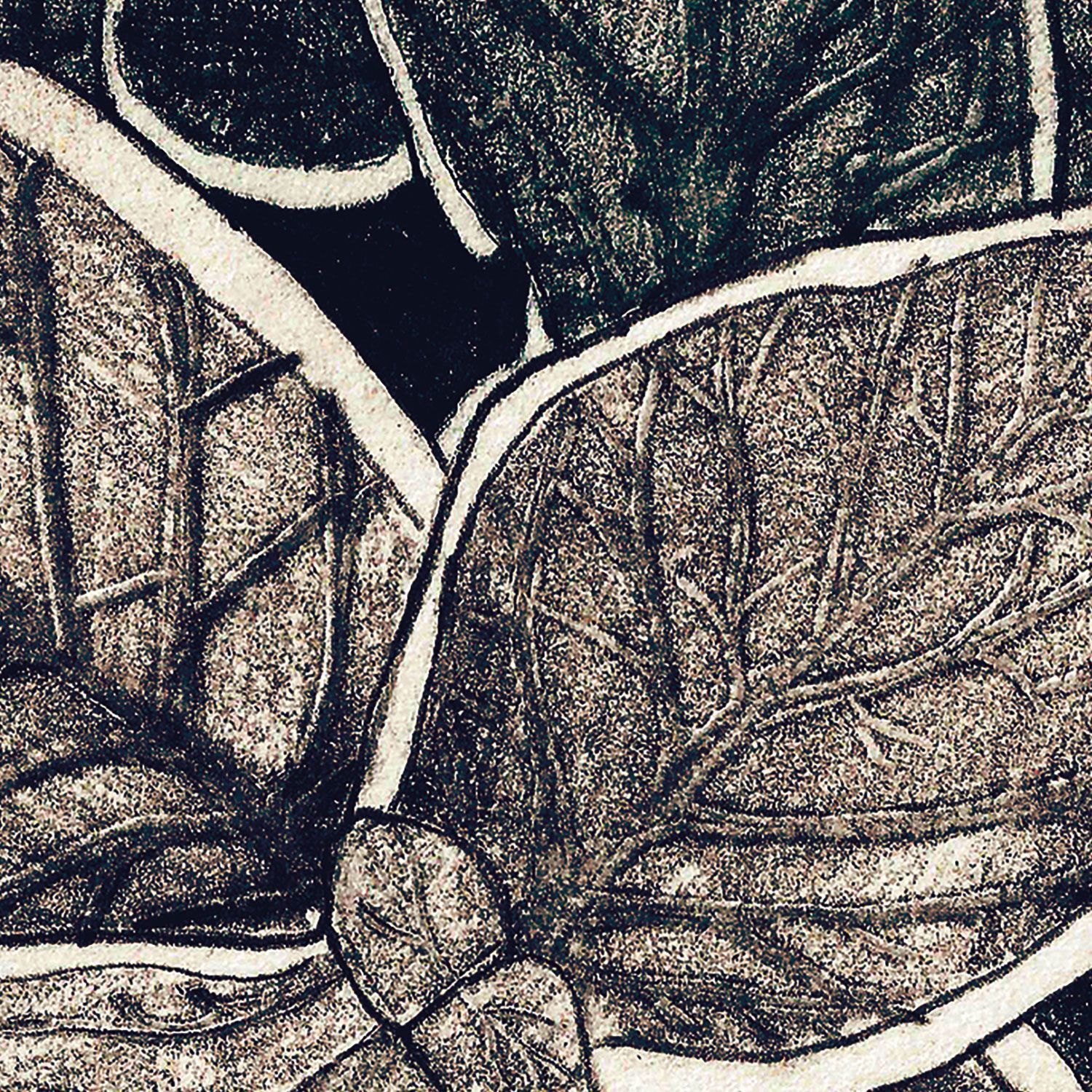 Обои с рисунком Ressource Faune &amp ARCH-00031135 - Вид №6