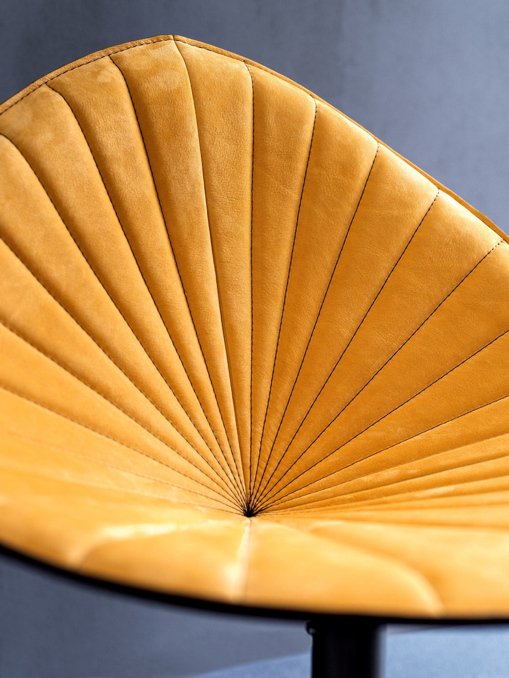 Кожаный стул Fasem Fiorile ARCH-00042497 - Вид №1