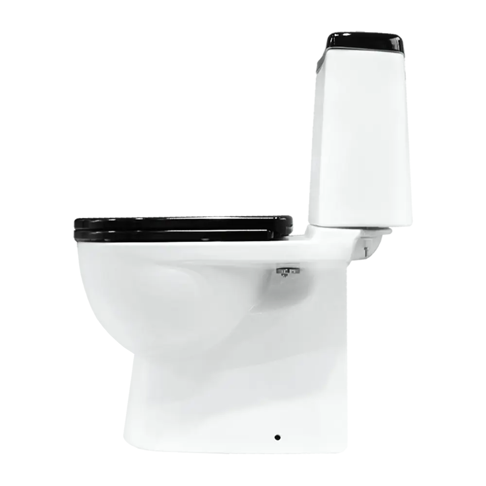Унитаз-компакт Sanita Luxe Best Color Black SL DM сиденье с микролифтом цвет черный STLM-2203473 - Вид №2