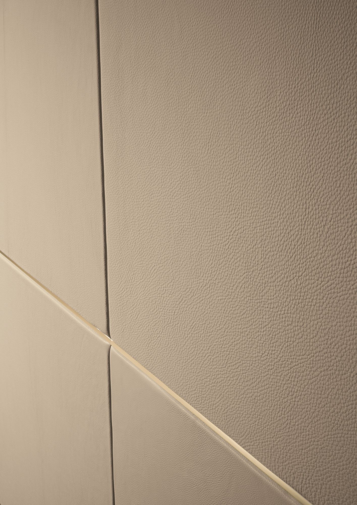 Обшивка из кожи Longhi Алюминиевые шикарные двери ARCH-00035272 - Вид №4