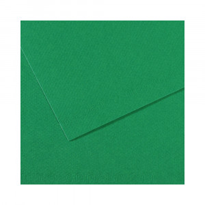200321234 Бумага для пастели Mi-Teintes 160 г/м2 50 х 65 см лист №575 темно-зеленый Canson