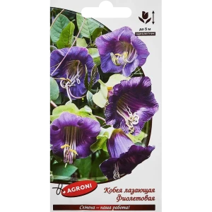 Семена цветов Agroni кобея лазающая фиолетовая