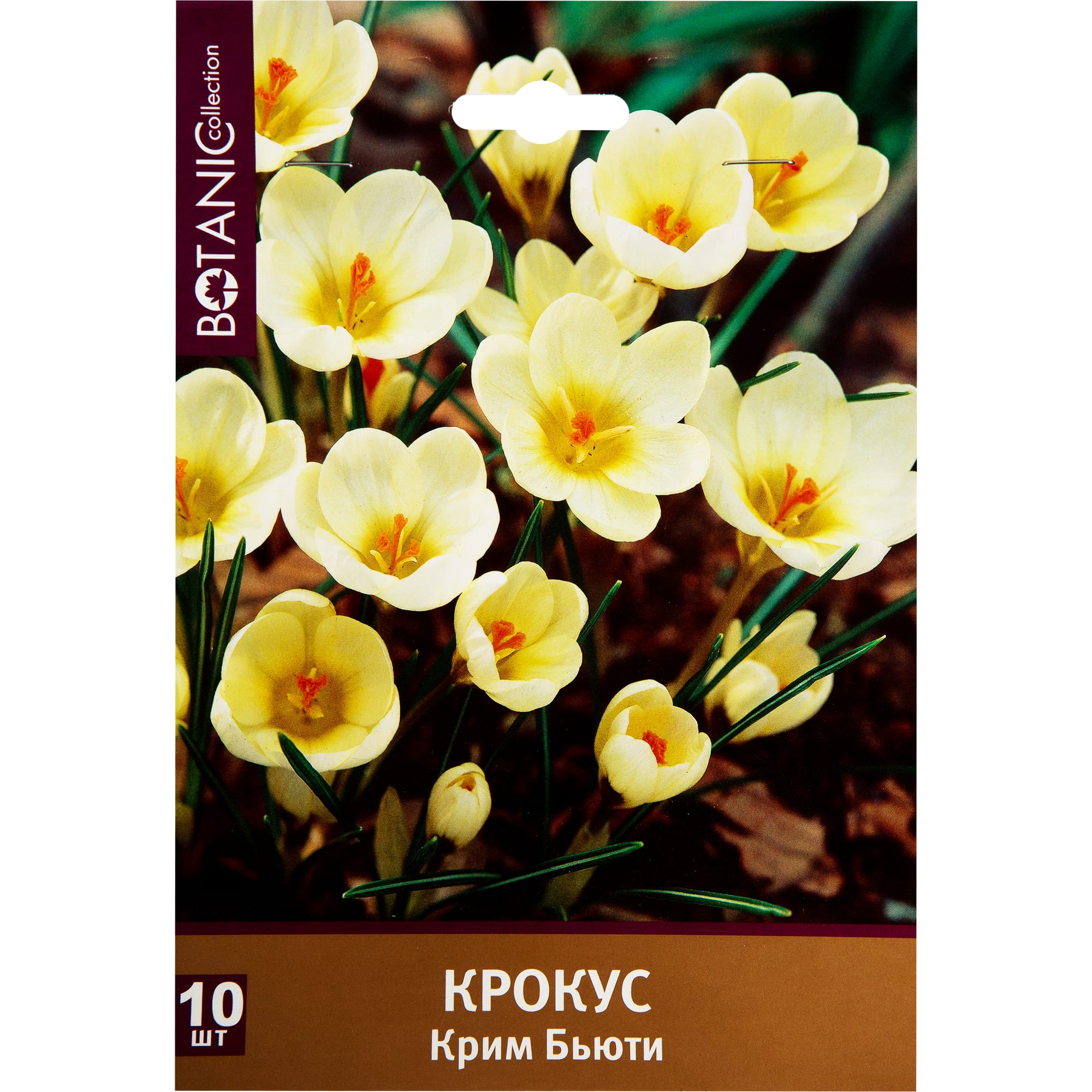 82351091 Крокус ботанический «Крим Бьюти» Santreyd 
