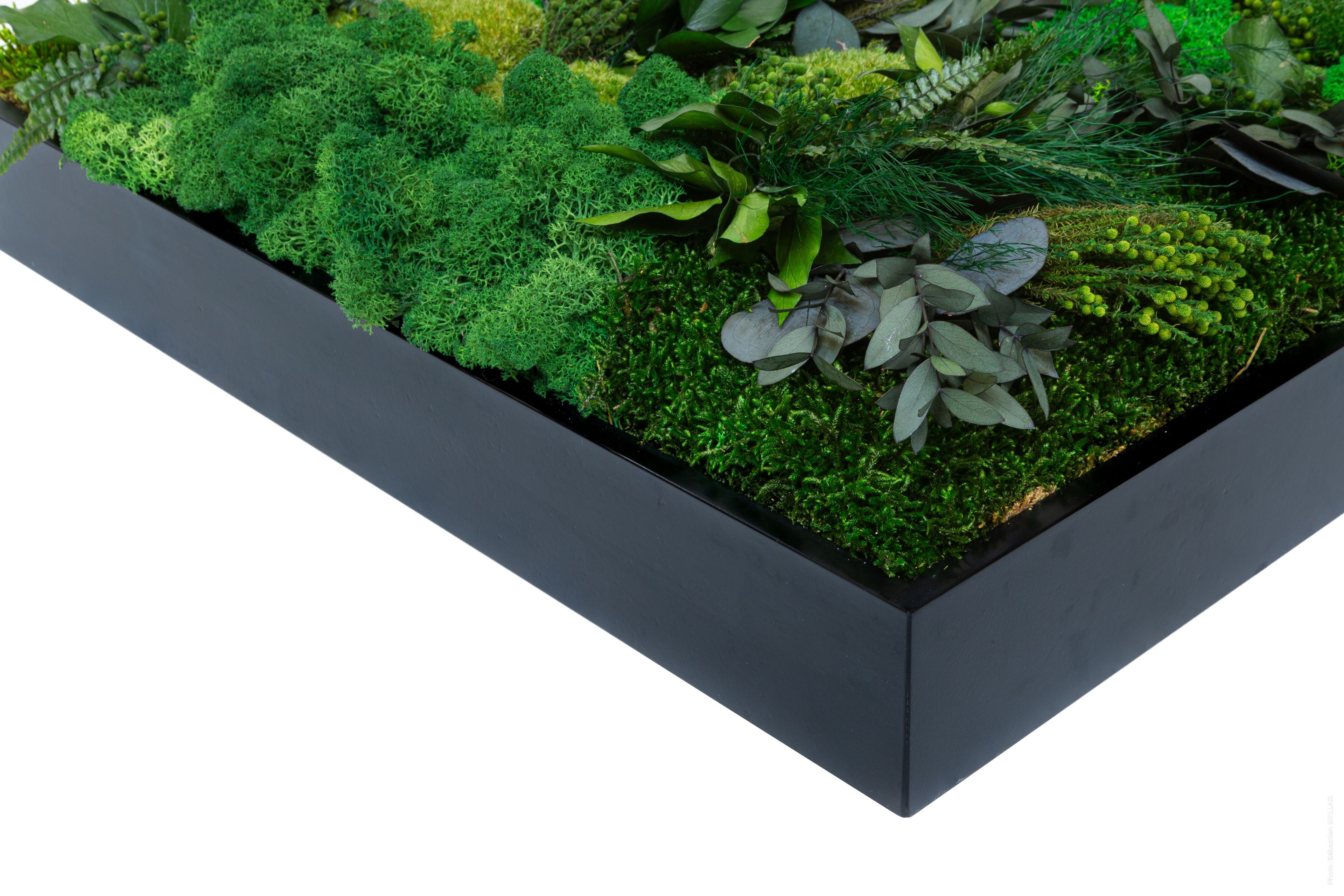 Растительная картина в лишайниках Tecsound PureKustik ARCH-00093539 - Вид №12