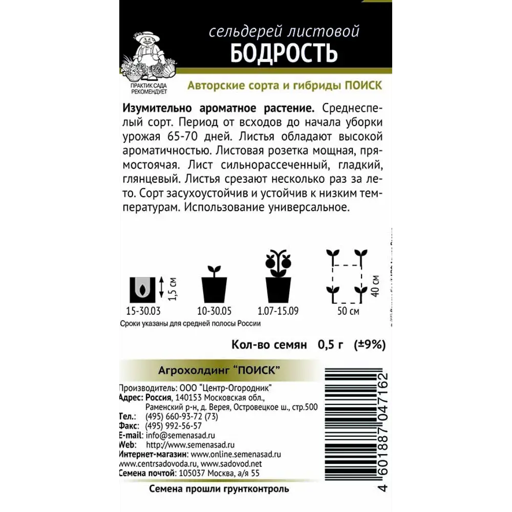 Семена сельдерея листового «Бодрость» от ПОИСК - ароматная зелень для вашего огорода 83146975 STLM-1578117 - Вид №1