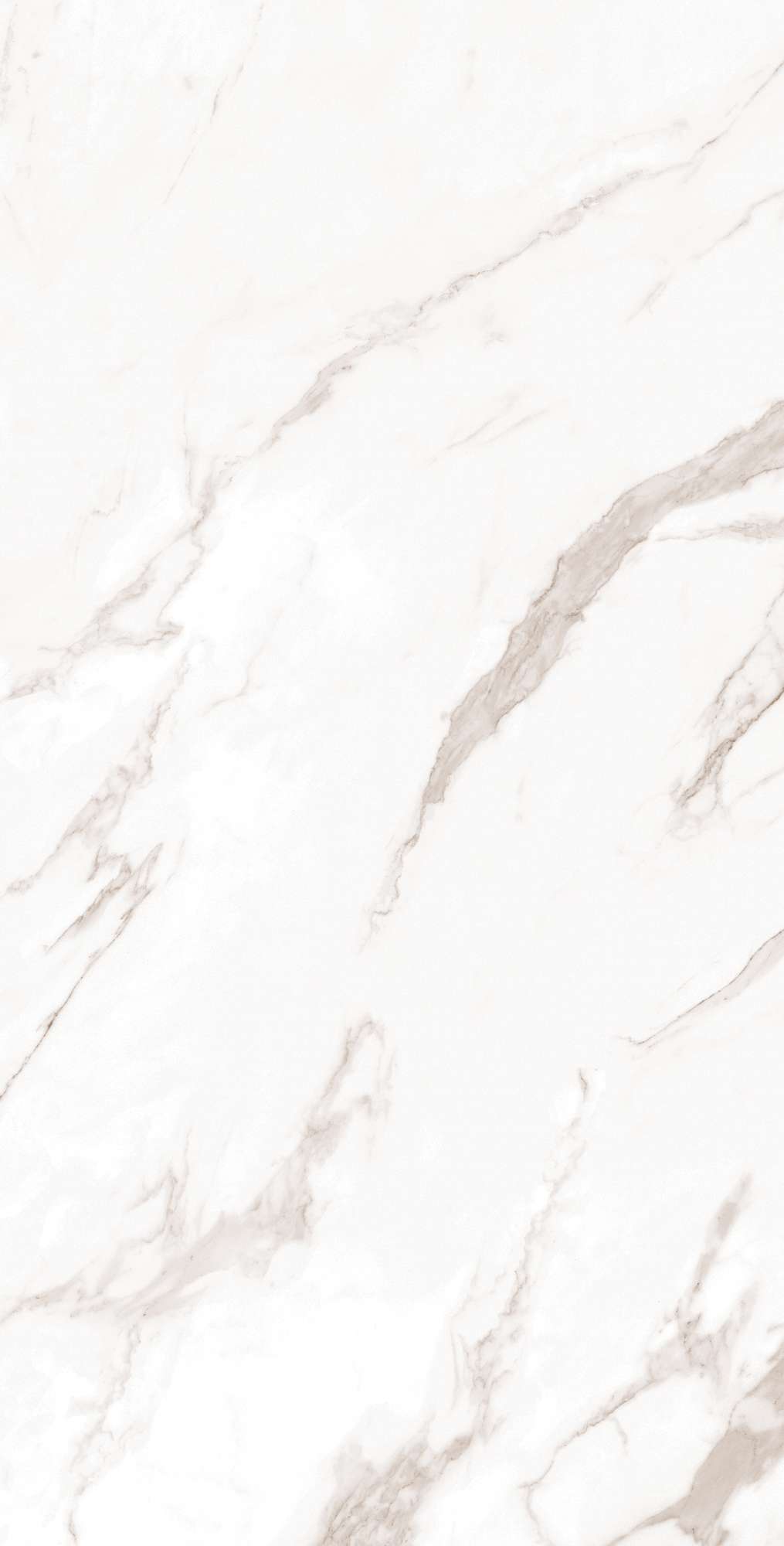 Керамогранит CALACATTA BIANCO 60х120 Arcadia Ceramica FP1019-A - Вид №5