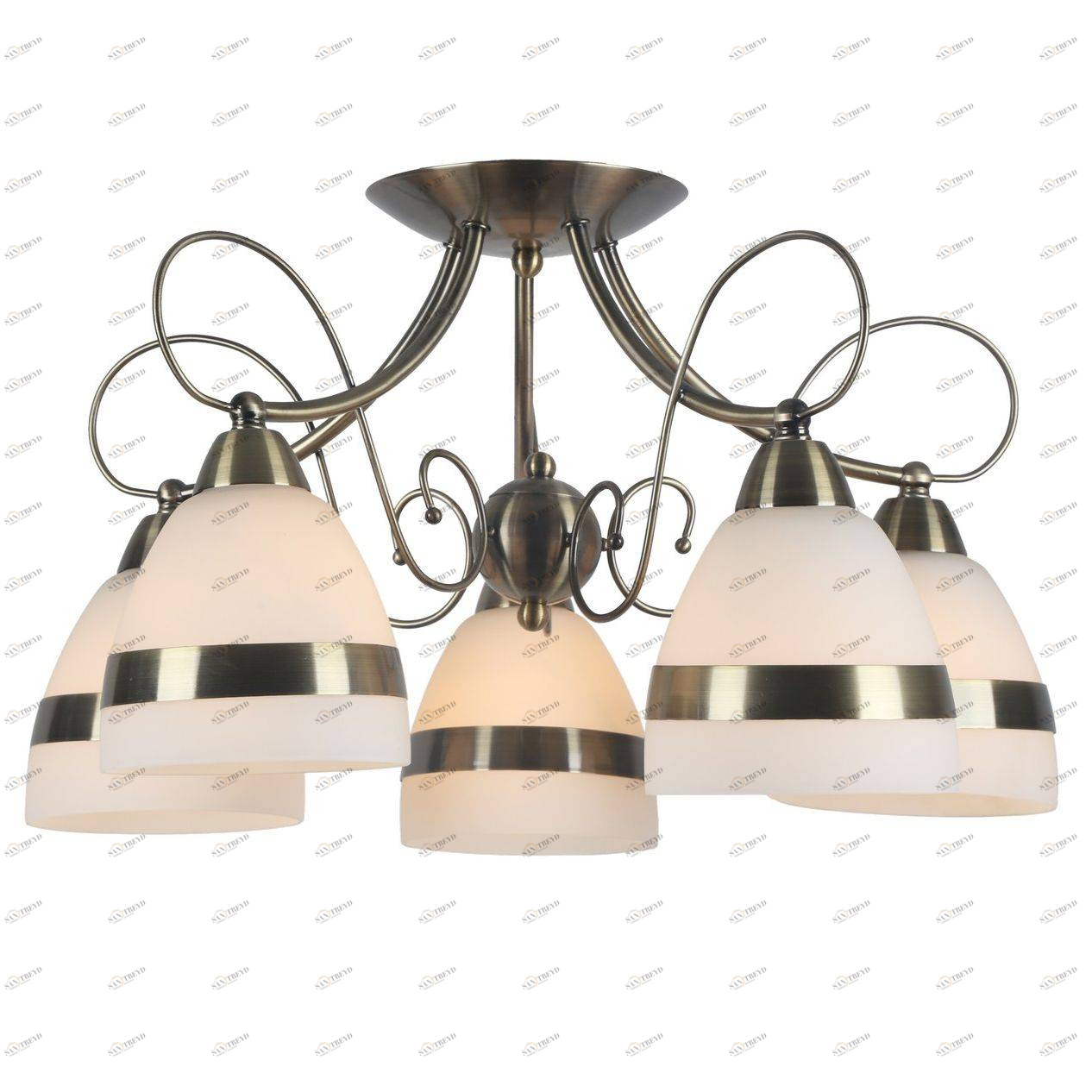 Потолочная люстра Arte Lamp 55 A6192PL-5AB ARTE LAMP ДИЗАЙНЕРСКИЕ 058504 Белый 
