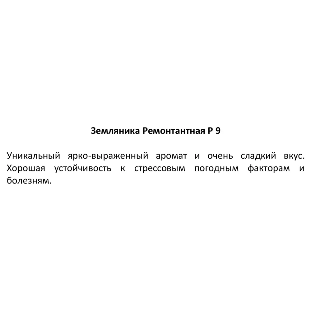 Земляника ремонтантная ø9 h20 см 83248469 STLM-2030483 Santreyd  - Вид №2