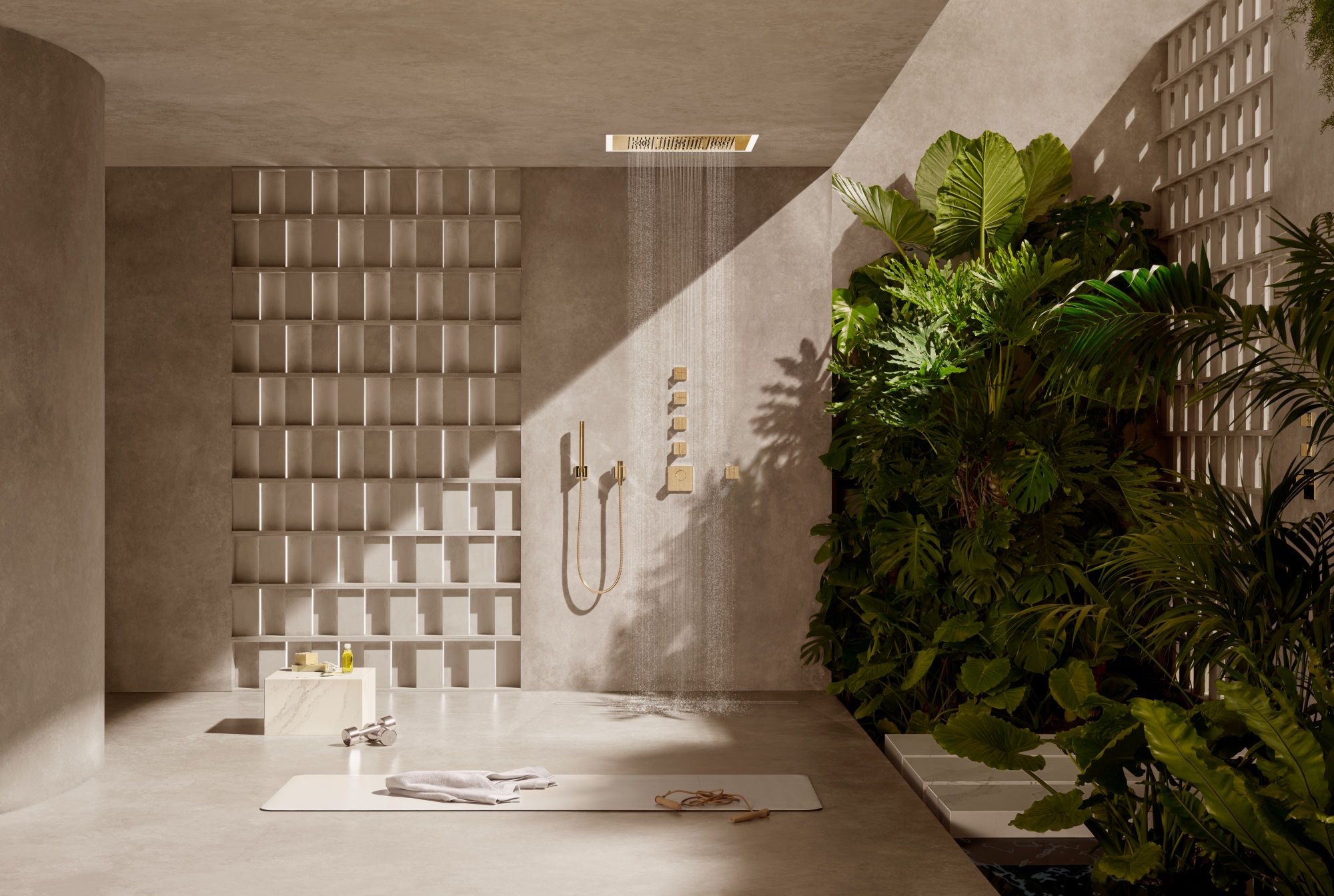 Душевая головка с 2 струями DornBracht SERENITY SKY ARCH-00077926 - Вид №9