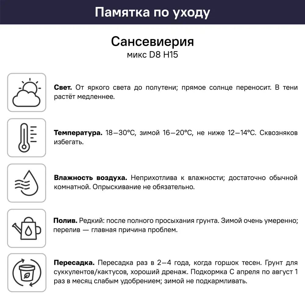 Сансевиерия Микс ø8 h15 см 89447870 STLM-2151178 Santreyd  - Вид №4