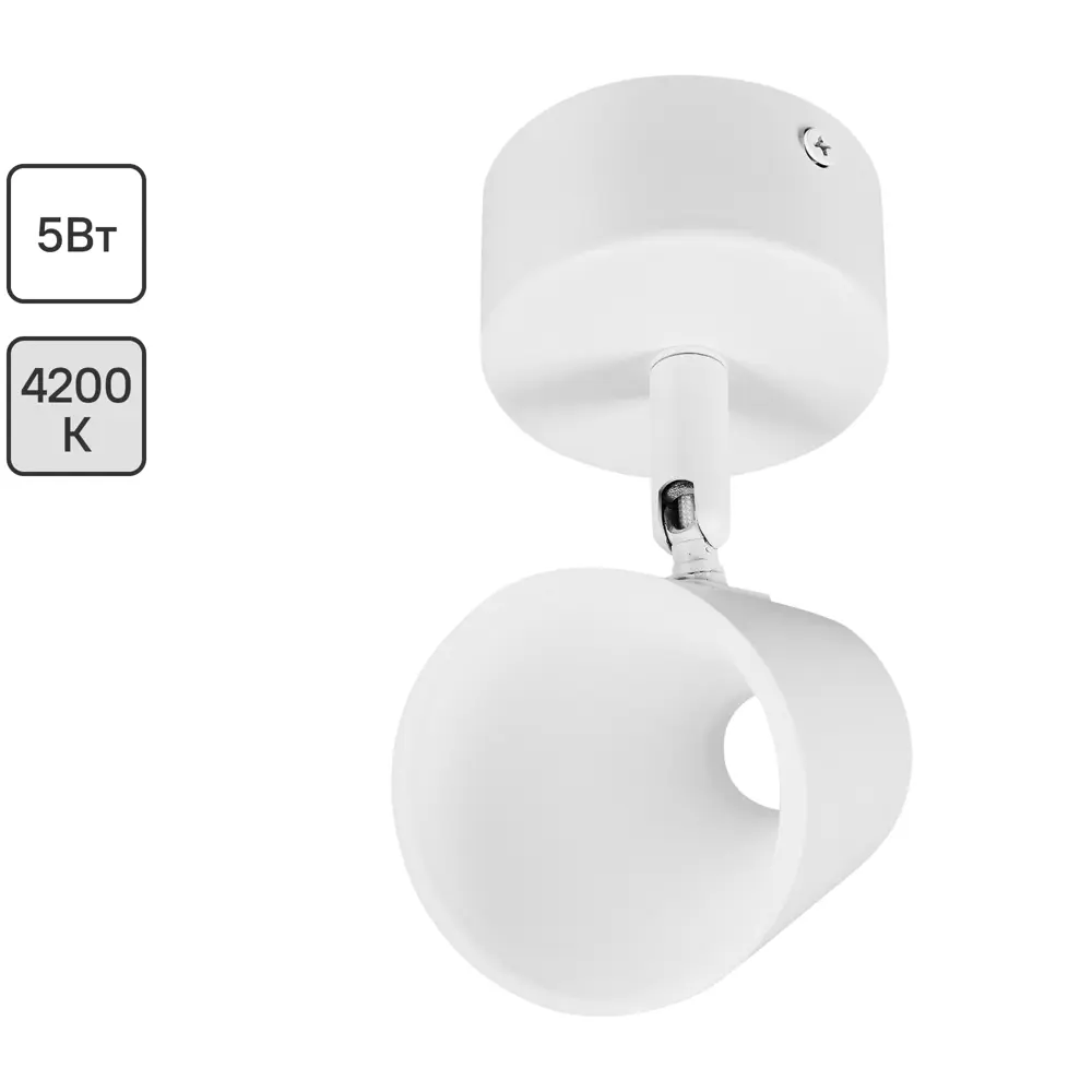 Спот поворотный светодиодный Elektrostandard DLR025 5 Вт нейтральный белый свет цвет белый матовый 84239027 STLM-2041977 