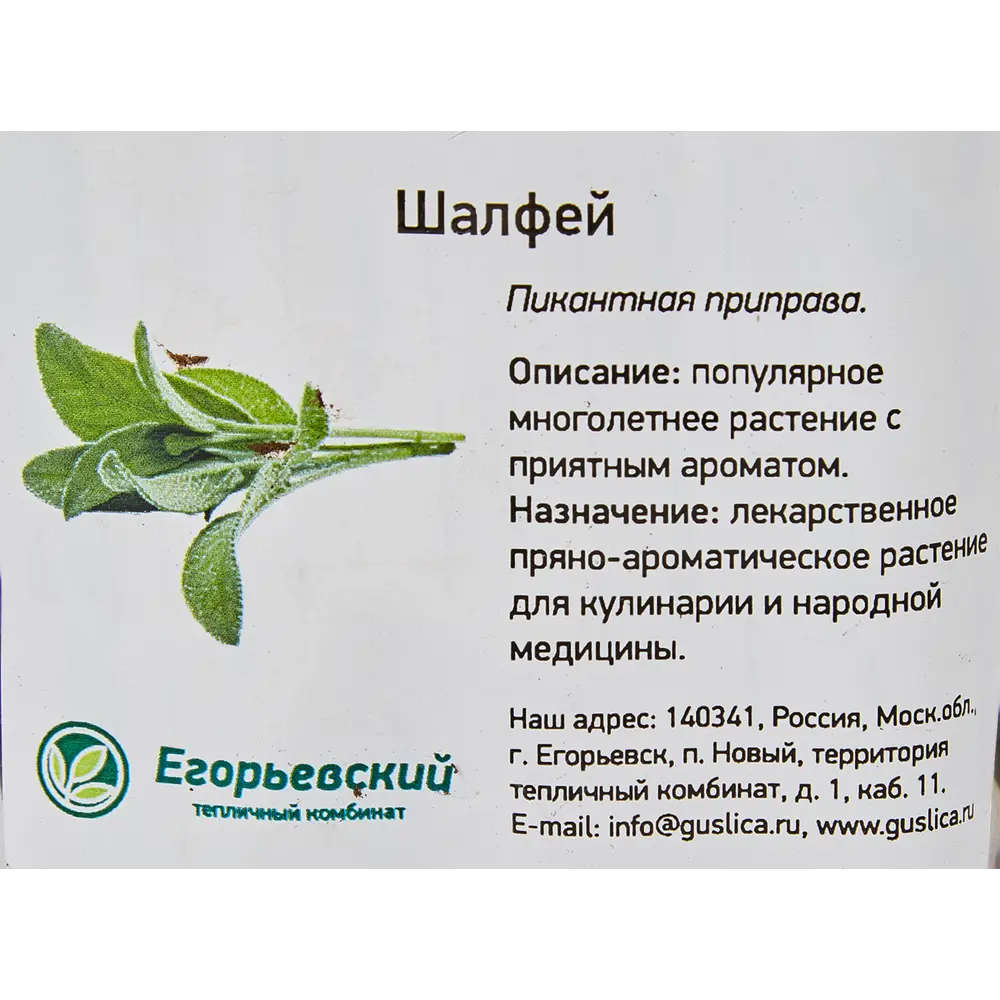Шалфей 9x10 см 82585495 STLM-2082472 Santreyd  - Вид №1