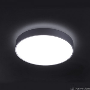 Schmitz 25890.25 универсальный светильник