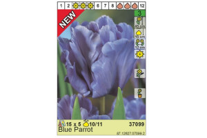 18441235 Луковица Тюльпан Блю Пэррот 10/11 фиолетовый, 5 шт. 37099 HBM