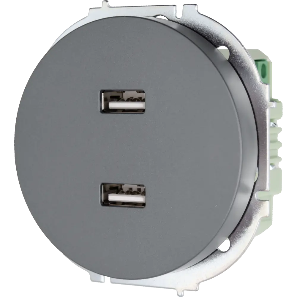 Розетка двойная USB встраиваемая Osen цвет серый LEZARD STLM-2137299