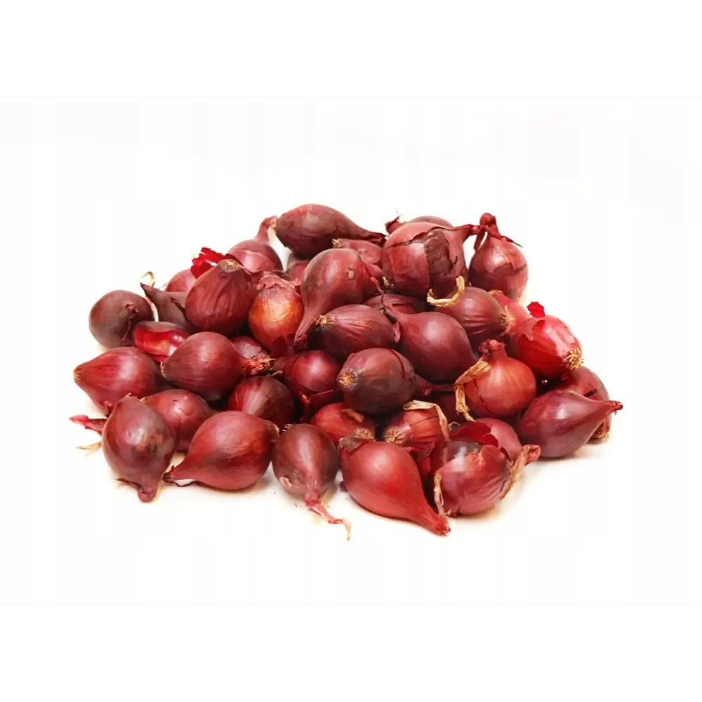 Лук-севок Ред Барон 10/21 0.35 кг Santreyd STLM-2119917