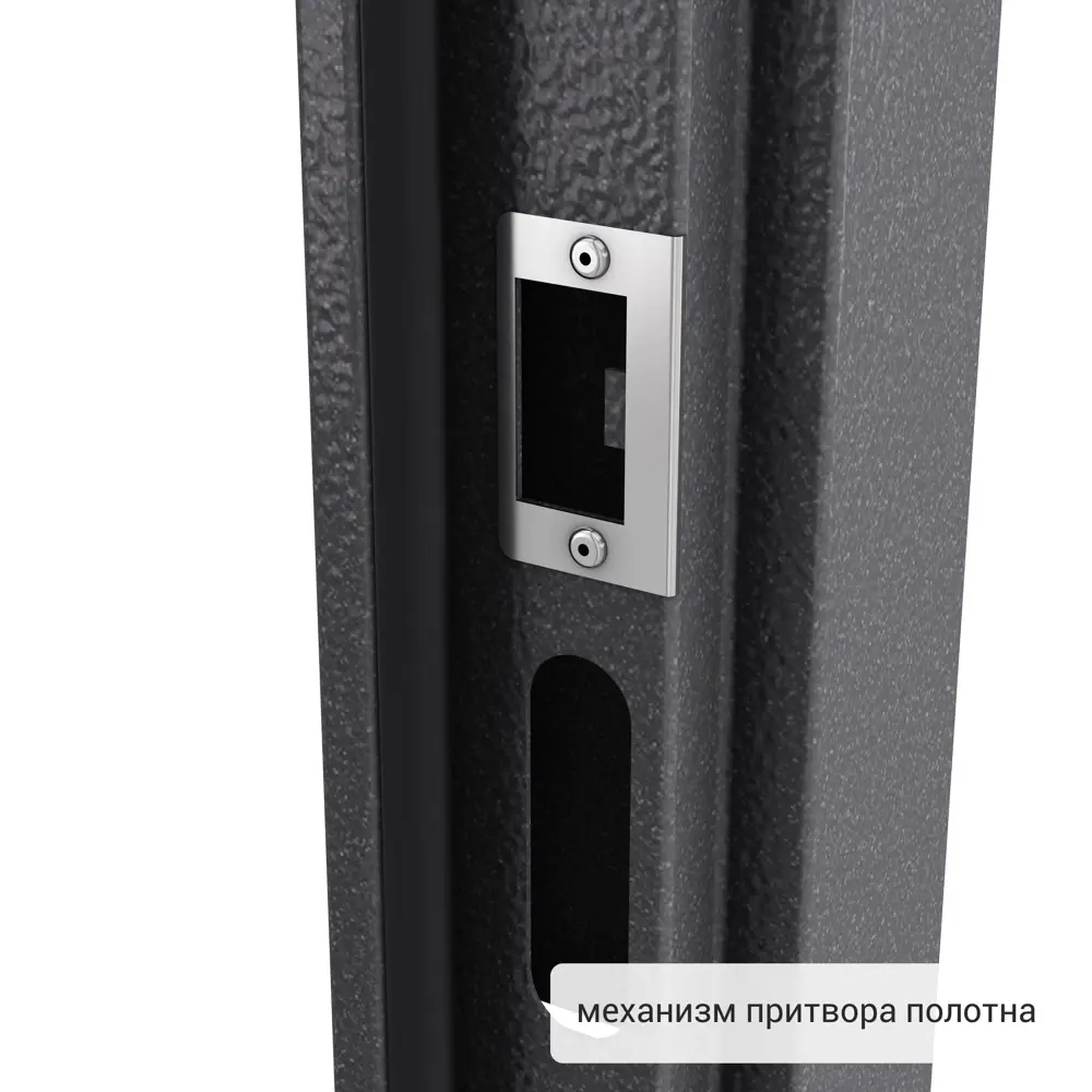 Дверь входная металлическая Альта 95x205 см правая цвет белое дерево TOREX STLM-2196418 - Вид №6