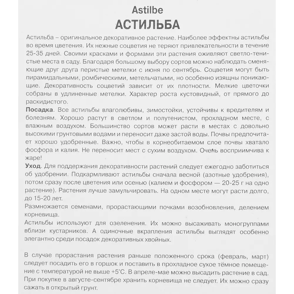 Астильба Дюссельдорф ПОИСК - яркое украшение сада 85186015 STLM-1566813 - Вид №2