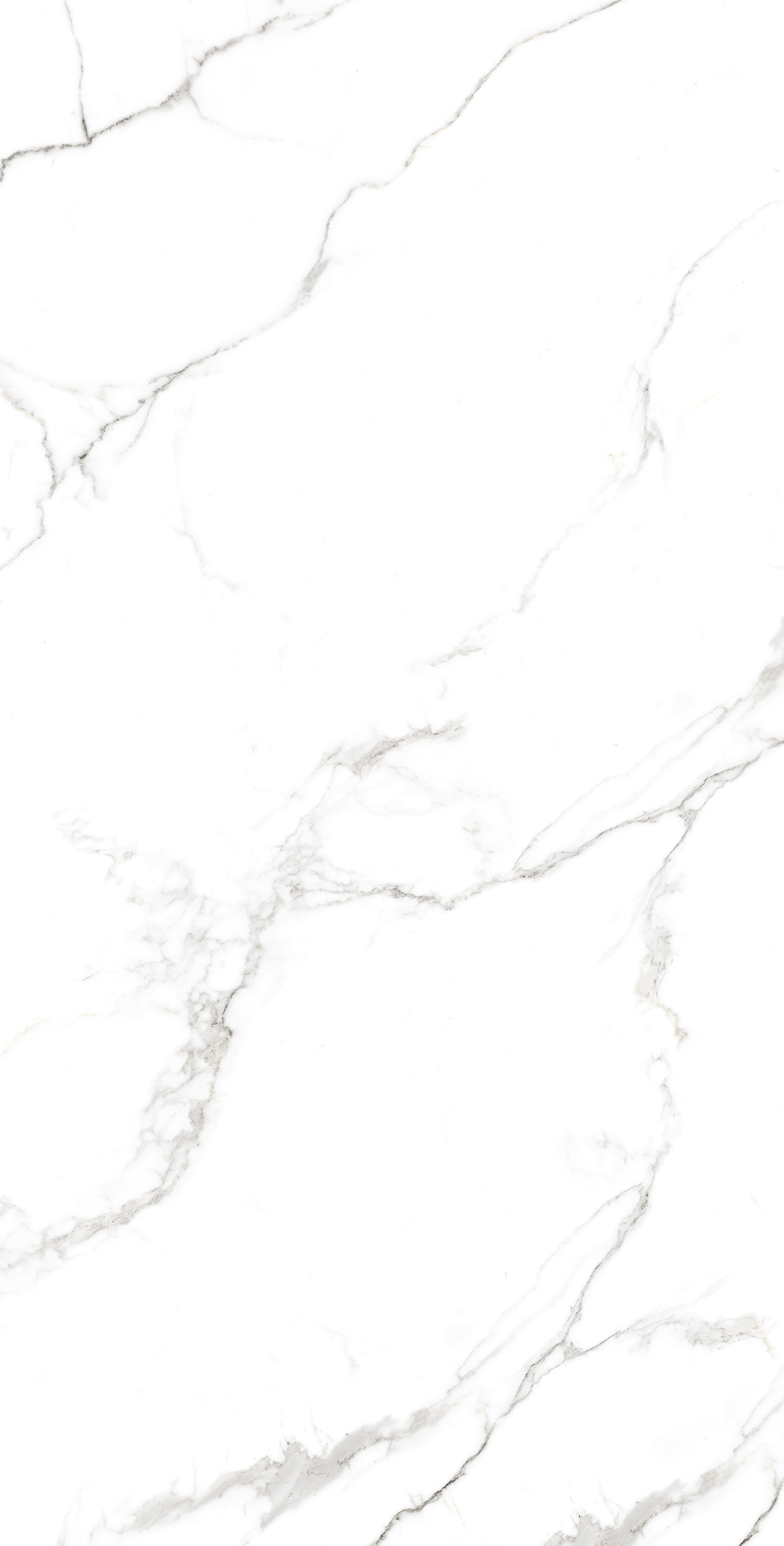 Керамогранит STATUARIO FINE 60х120 Arcadia Ceramica FP1039-A - Вид №1