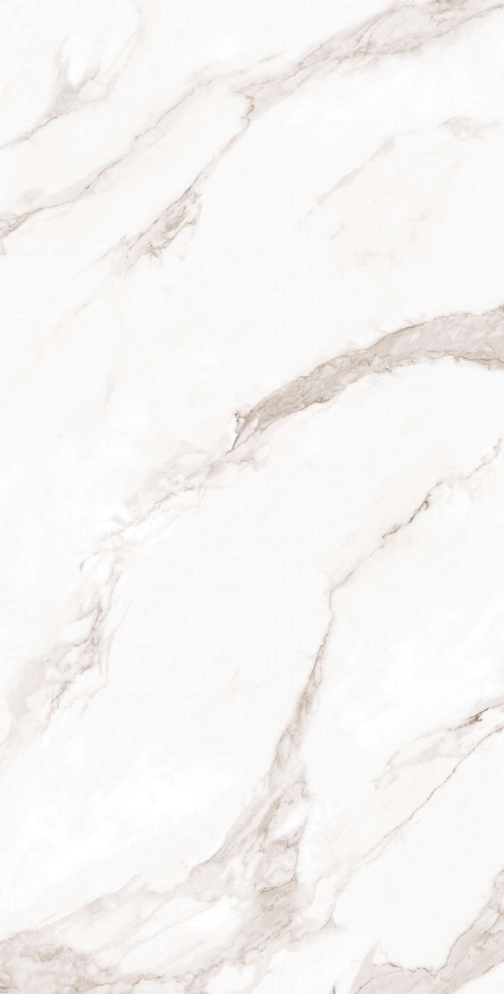 Керамогранит CALACATTA BIANCO 60х120 Arcadia Ceramica FP1019-A - Вид №9