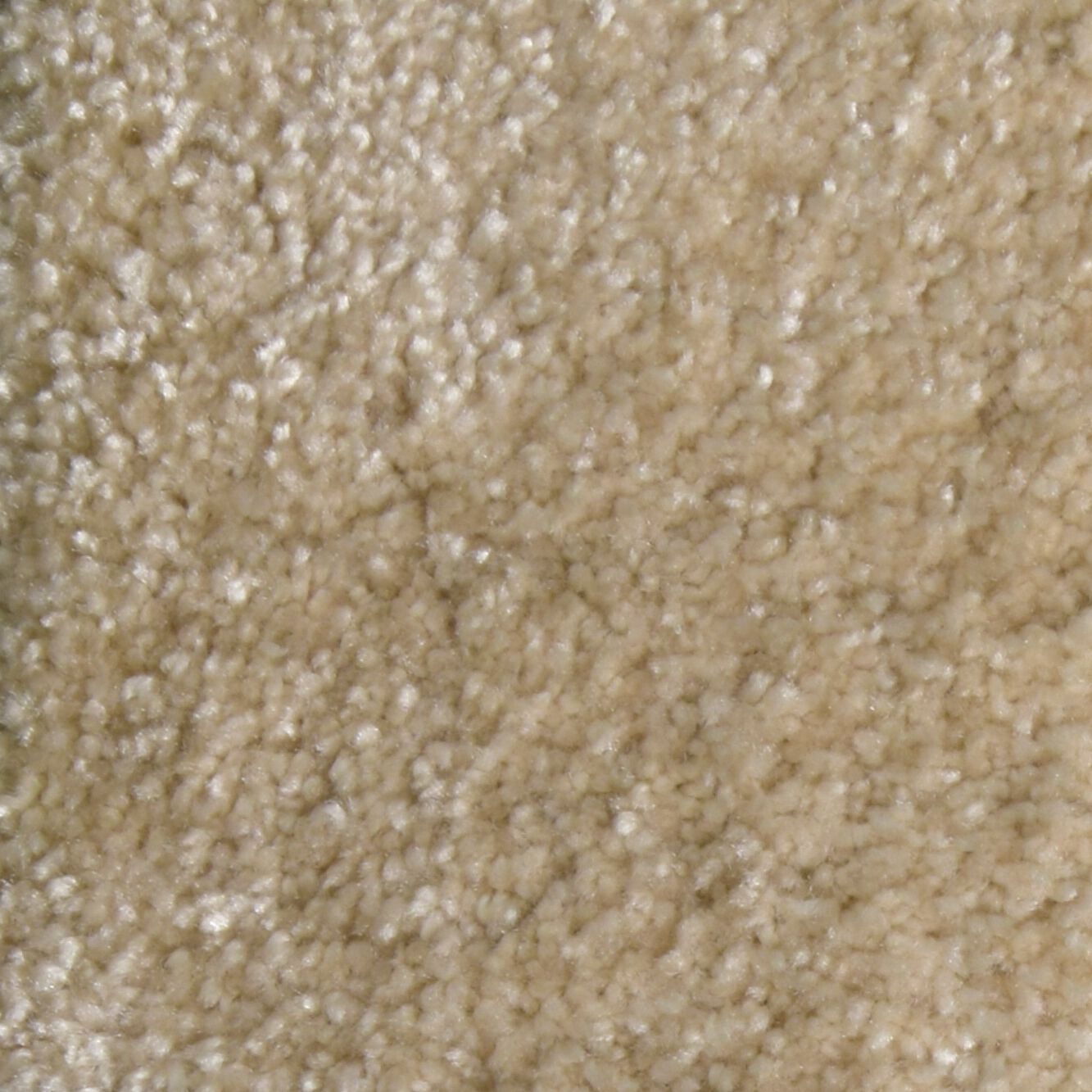 Ковер / Ковер Ademi Резка по запросу - от стены до стены (внутри помещений) ARCH-00139874 - Вид №4