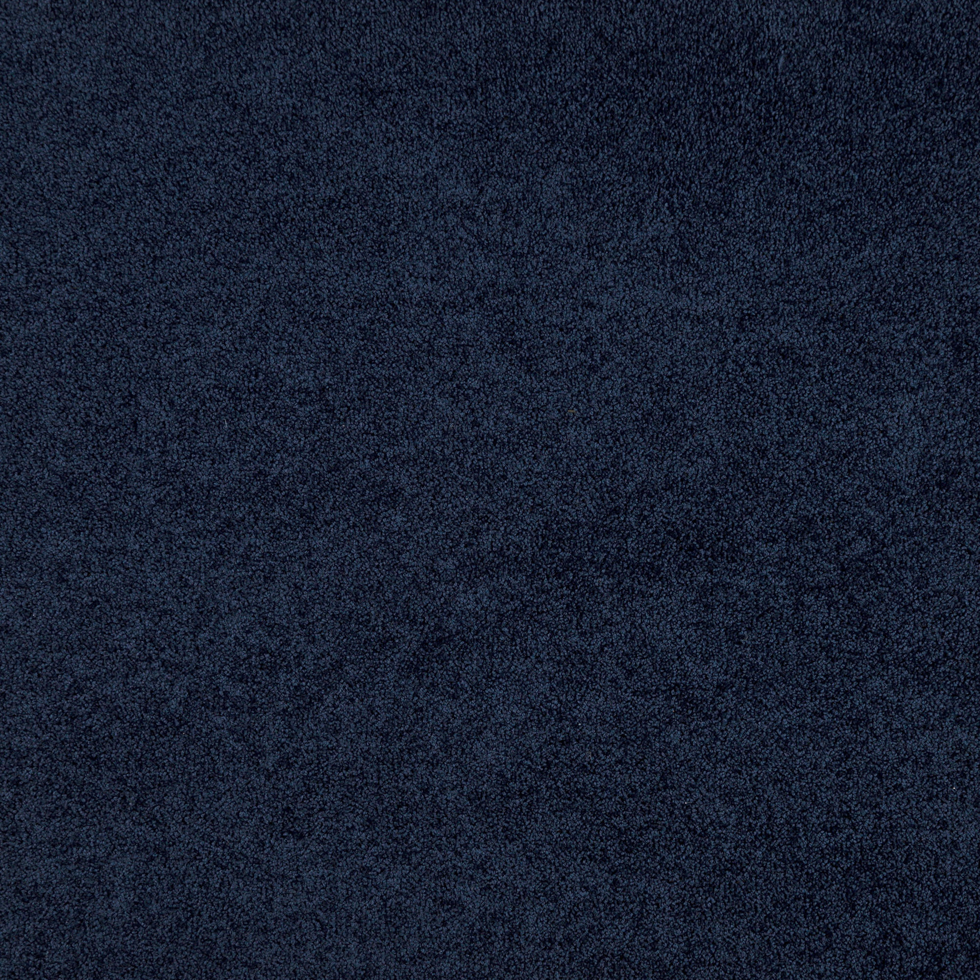 82163710 Ковровое покрытие «Флорида», 3.5 м, цвет тёмно-синий STLM-0020806 ЗАРТЕКС