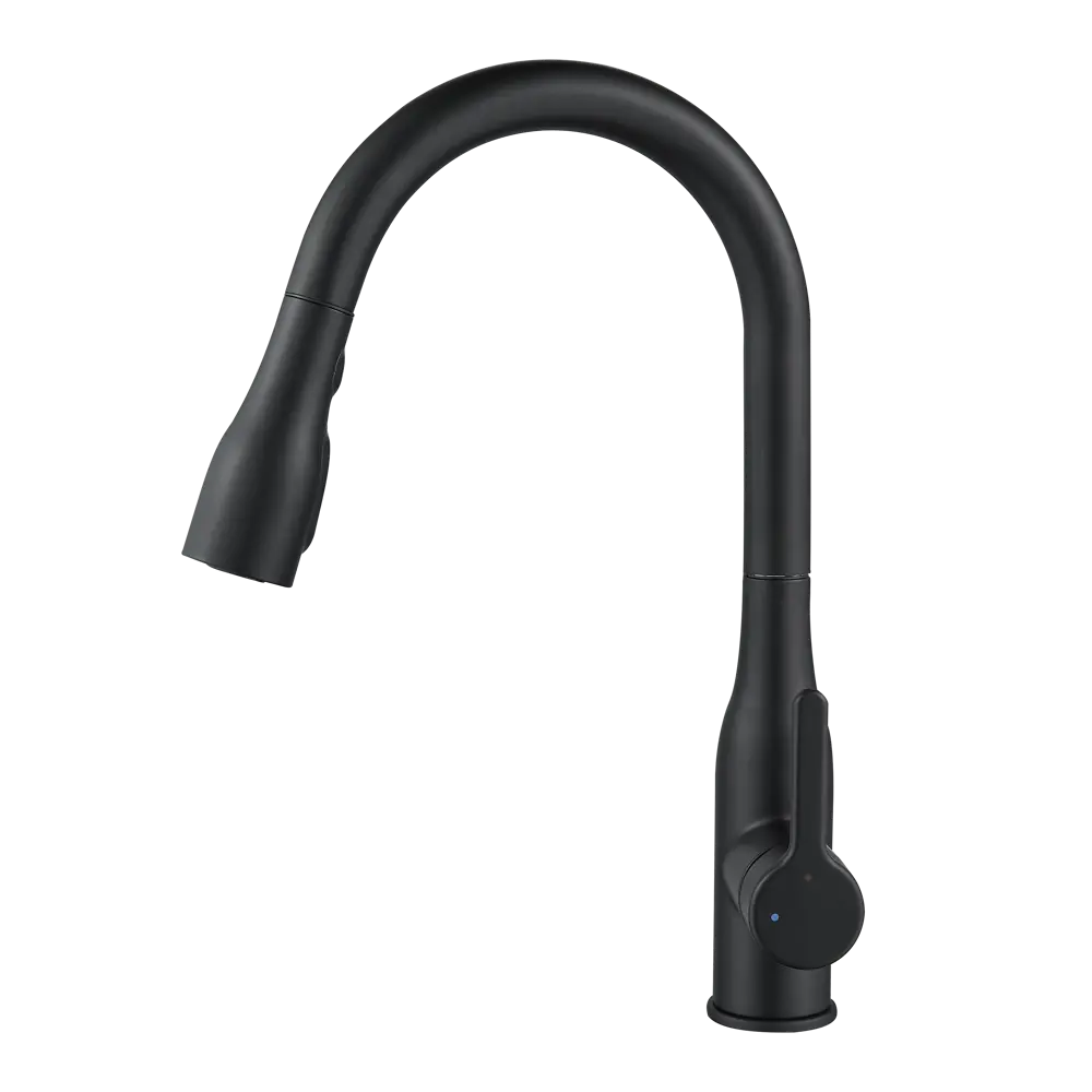 Кухонный смеситель DELINIA Fanny в матово-черном исполнении 84752045 STLM-0878106 - Вид №5