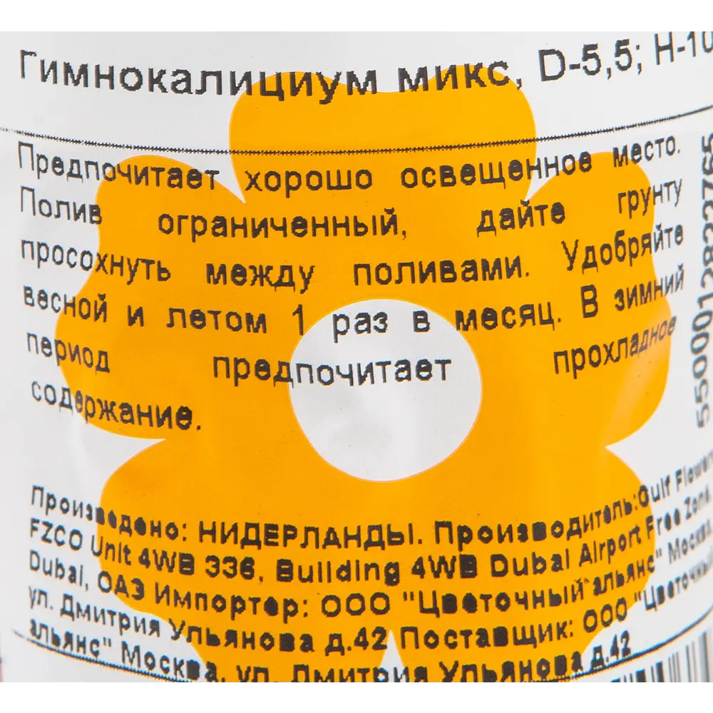Гимнокалициум микс 5.5 см 13943964 STLM-2140506 Santreyd  - Вид №1