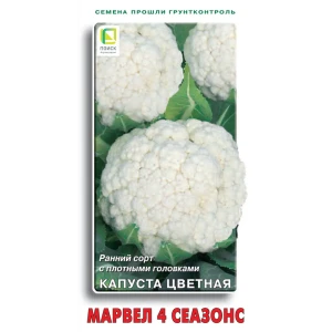 Семена цветной капусты Марвел 4 сезонс 89401132