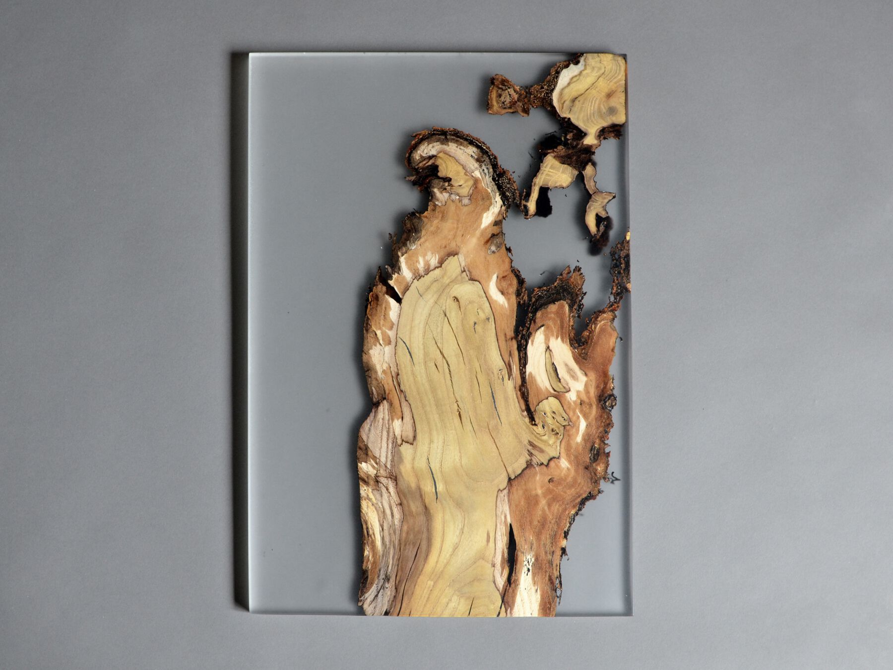 Рамка из массива дерева и смолы alcarol Undergrowth ARCH-00082208 - Вид №2