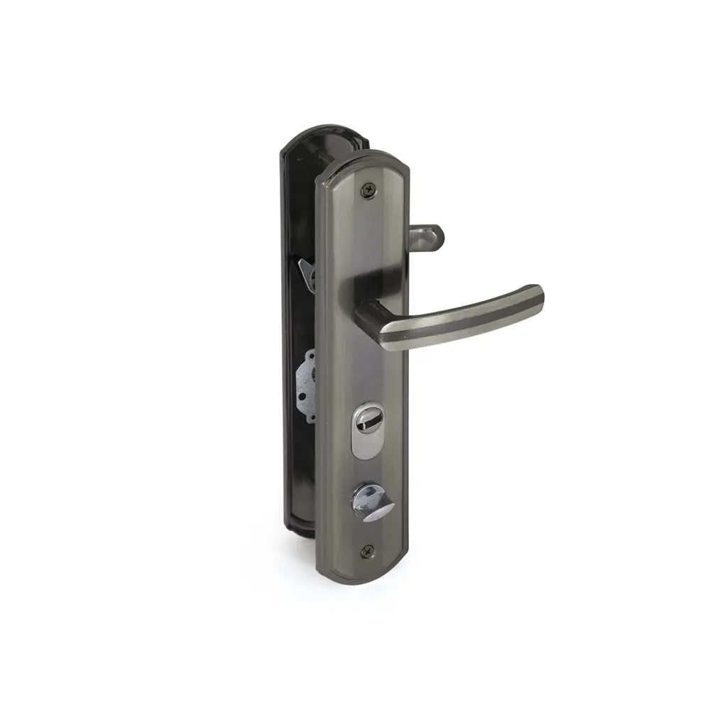 Ручка дверная входная на планке 50 левая, цвет серебристый PALLADIUM STLM-2144101