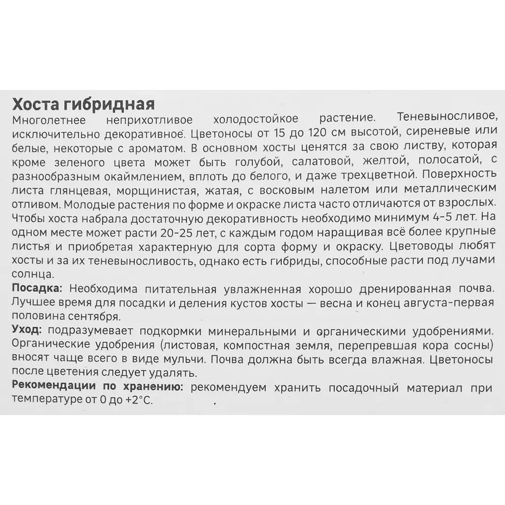 Хоста Geolia гибридная Леди Гиневера STLM-2119959 - Вид №3