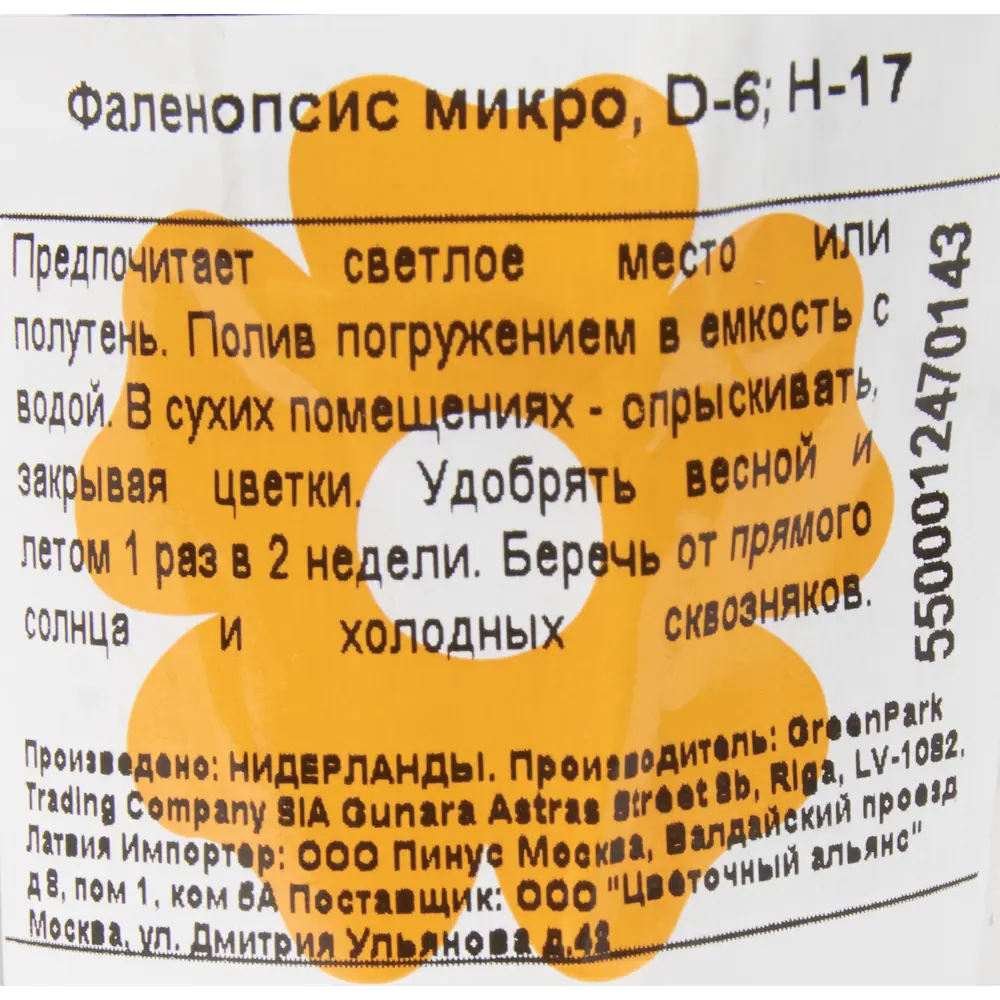 Santreyd Фаленопсис микро - комнатная орхидея с пятнистыми лепестками 14448172 STLM-0004958 - Вид №2