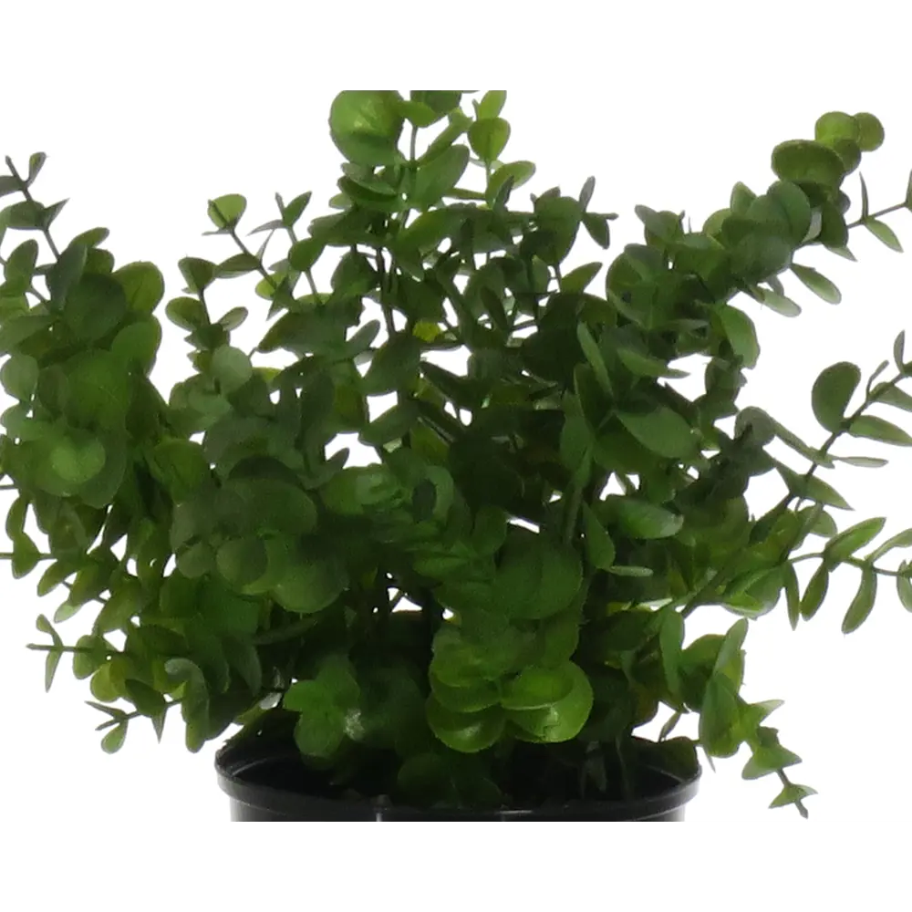 Искусственное растение Эвкалипт ø13 h30 см Santreyd STLM-2164286 - Вид №2