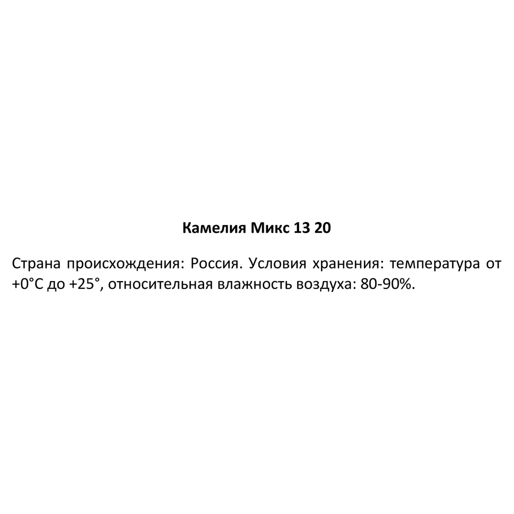 Камелия микс ø13 h20 см 89354339 STLM-2176682 Santreyd  - Вид №3