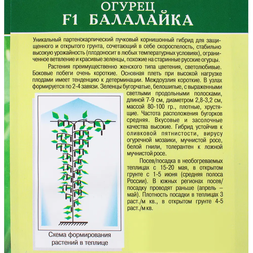 Семена Огурец «Балалайка» F1 81932511 STLM-2073399 МАНУЛ  - Вид №2