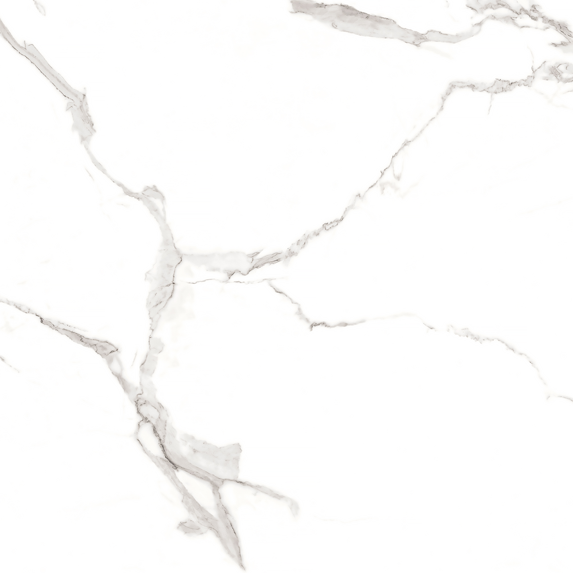 Керамогранит STATUARIO MIRES 60х60 Arcadia Ceramica FP1012-A STLM-1571933 89405719  - Вид №6