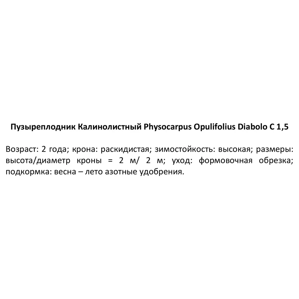 Пузыреплодник калинолистный Диабло ø15 h35 см 84828797 STLM-2166291 PLANTMARKET  - Вид №2