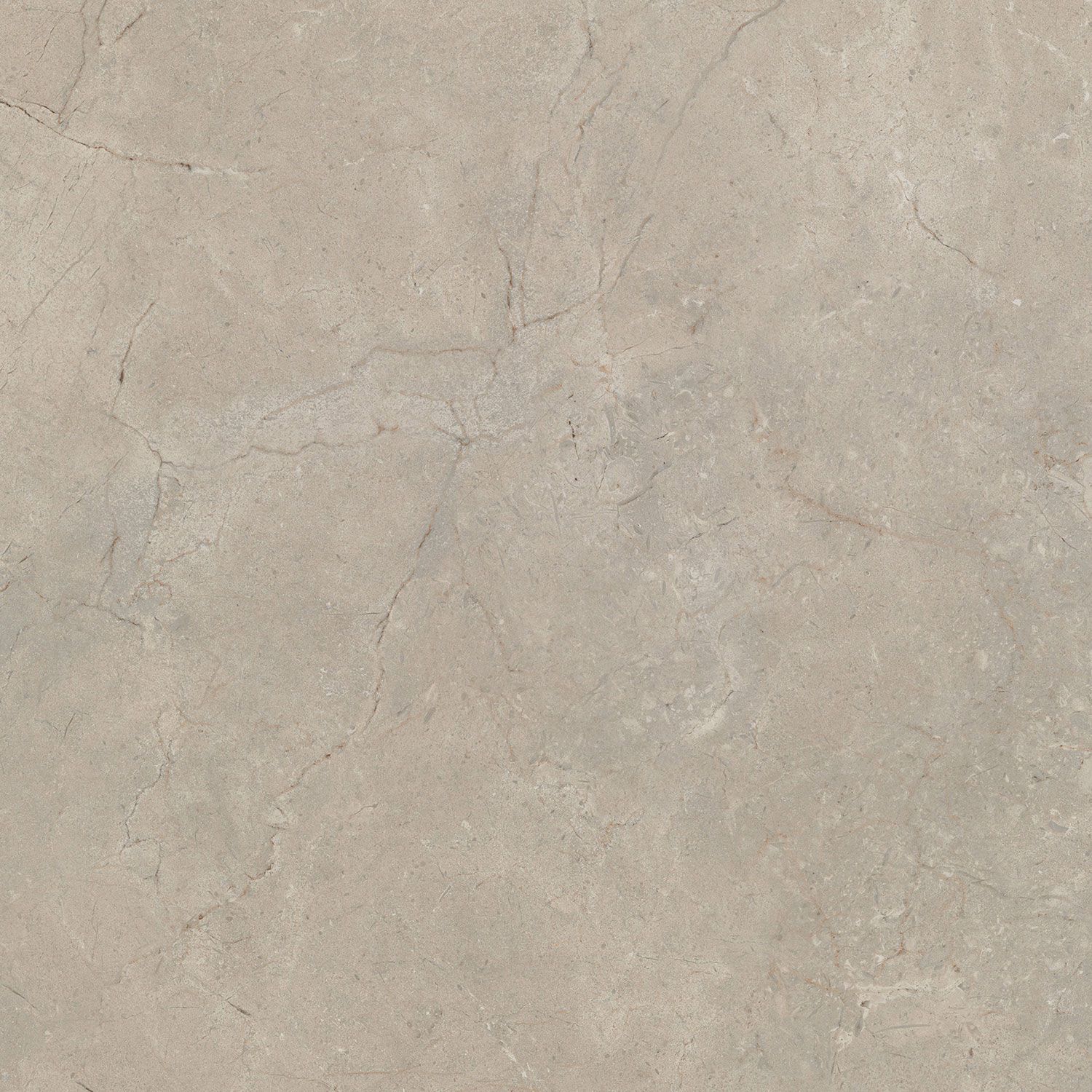 Пол / облицовка керамогранита с эффектом камня Italgraniti Calcis ARCH-00015484 - Вид №30