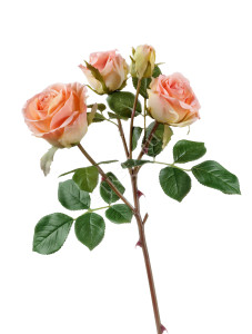 30.0610053PCH Роза Флорибунда ветвь розово-персиковая Цветочная коллекция
