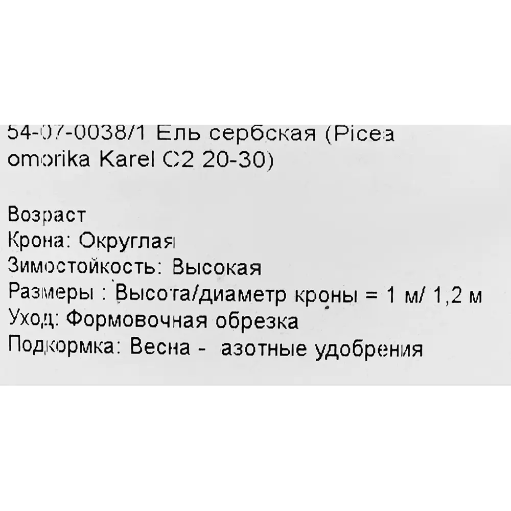 Ель серебристая «Карел», С2/20-30 см 18470254 STLM-2166986 Santreyd  - Вид №1
