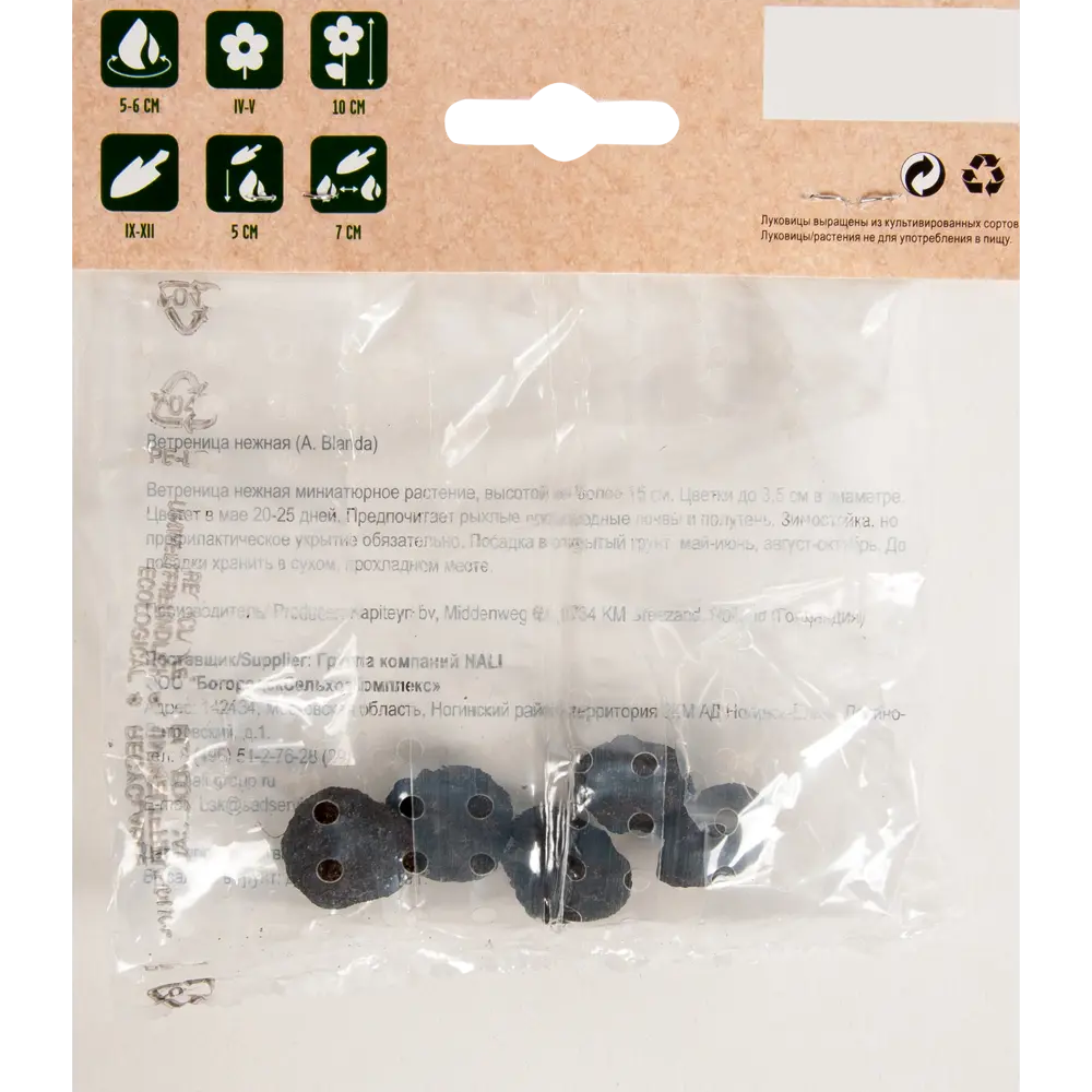 Анемона «Blue Shades» размер луковицы 5/6, 5 шт Santreyd STLM-2087915 - Вид №1