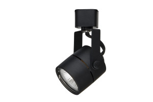 16400120 Потолочный светильник A1310PL-1BK ARTE LAMP Lente