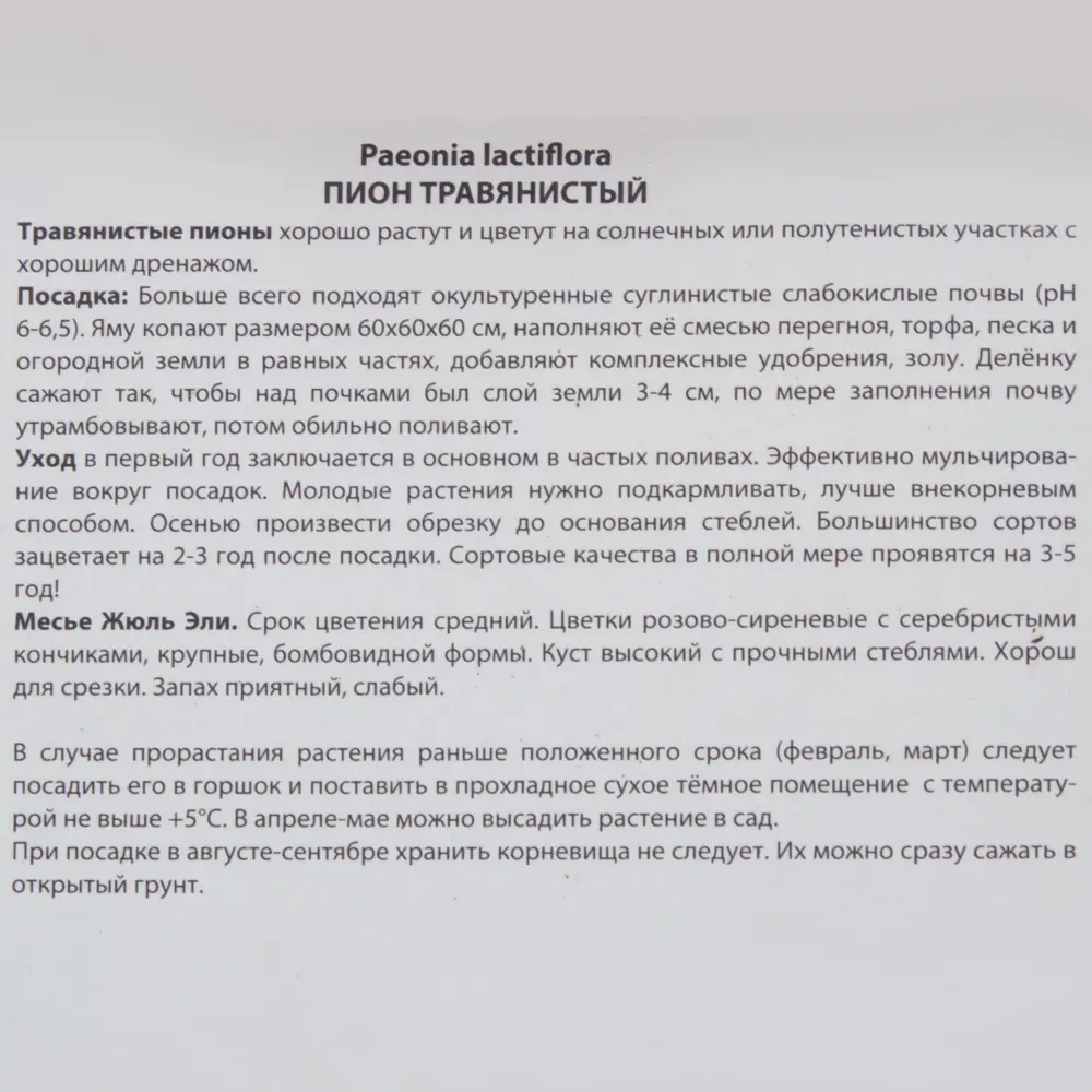 Пион травянистый «Месье Жюль Эли» 81945477 STLM-2134207 Santreyd  - Вид №2